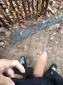 puertordic online show from December 29, 1:38 pm