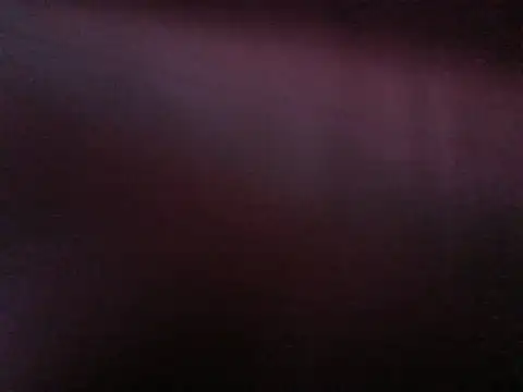 FancySnake online show from August 6, 9:49 pm