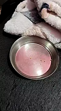 Whitehouse01 online show from January 13, 2:42 pm