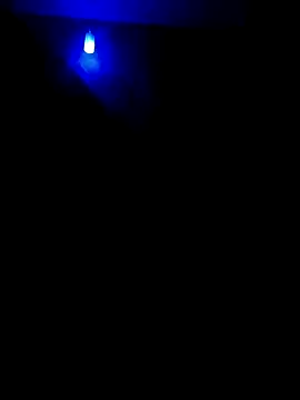 dreamers dick online show from January 2, 7:18 pm