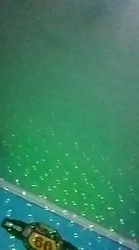 Snapshot of Elrep_tile chatting on March 11, 4:10 am Elrep tile online show from March 11, 4:10 am