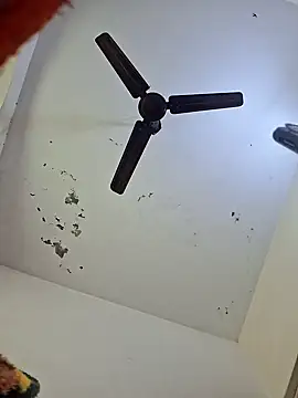 Snapshot of Tanu-Call-Me chatting on January 18, 5:10 am Tanu-Call-Me online show from January 18, 5:10 am