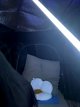 csck2025 online show from November 29, 12:08 pm