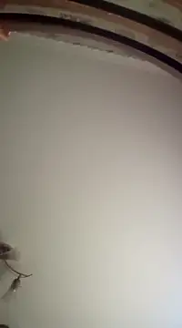 Lauren Amabel online show from March 16, 7:04 am