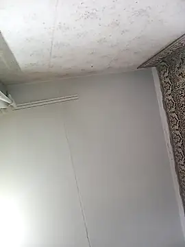 Lauren Amabel online show from November 12, 8:30 pm