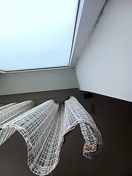 Lauren Amabel online show from January 9, 8:17 am