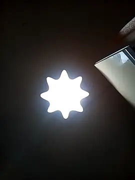 Lauren Amabel online show from January 31, 7:11 pm