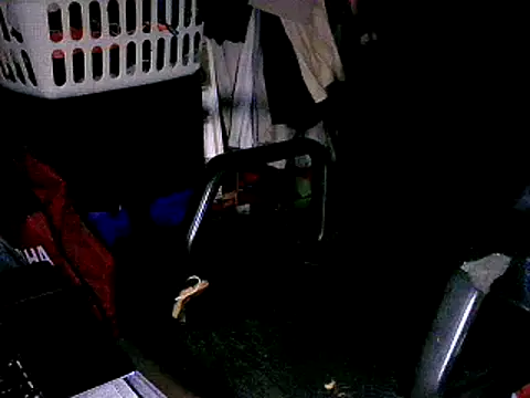 Snapshot of SergCarMX1 chatting on October 6, 8:50 pm SergCarMX1 online show from October 6, 8:50 pm