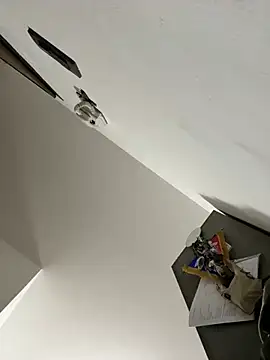 ilmaestoso online show from February 21, 7:23 am