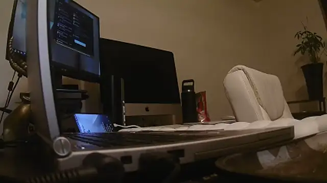Snapshot of MrDaddyBbSnake chatting on April 24, 2:03 am MrDaddyBbSnake online show from April 24, 2:03 am