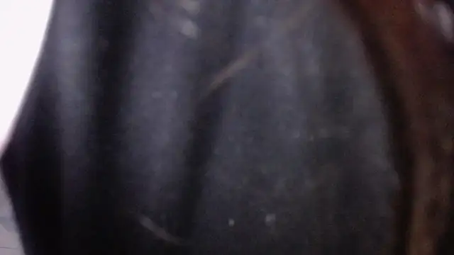 Sarita v  online show from February 6, 6:56 pm