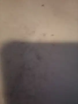 dany hardy online show from March 24, 8:36 pm