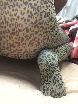 Skywalker69949 online show from February 6, 2:55 am