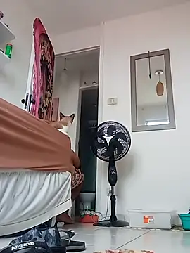 Munnoki online show from April 2, 9:29 am