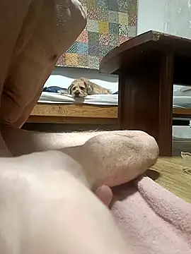 Bisexualhard23 online show from January 18, 12:58 am