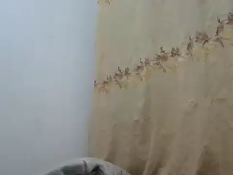 Snapshot of Sr_JakoXXXX chatting on February 20, 7:55 am Sr JakoXXXX online show from February 20, 7:55 am