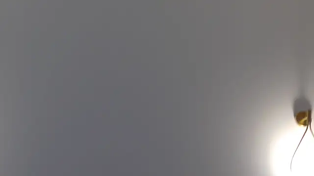 Lilliana Moon online show from January 30, 1:42 pm