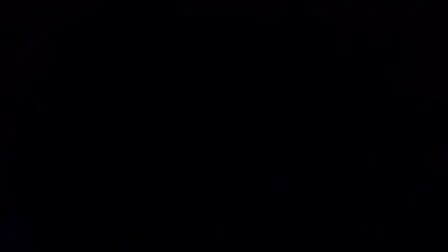 petina online show from January 15, 6:33 pm