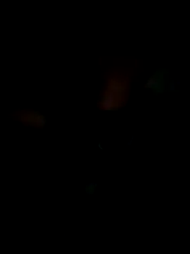 Snapshot of KisSsu chatting on January 9, 4:32 pm KisSsu online show from January 9, 4:32 pm