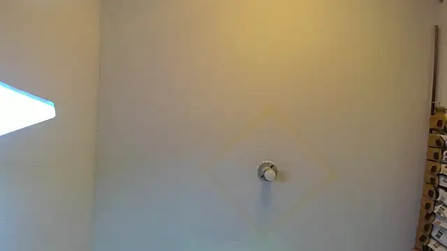 wandaliones online show from February 28, 2:42 pm