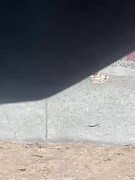 Jinenez online show from March 16, 12:00 pm