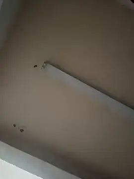 boyvergon online show from January 17, 6:36 am