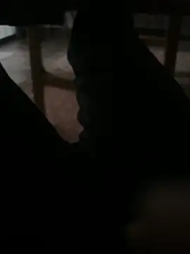 Enrrre online show from April 16, 10:56 pm