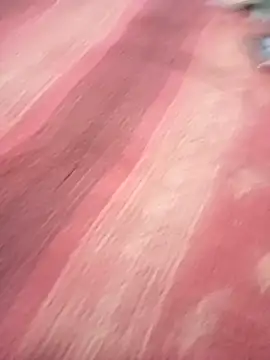 bdmaksuda1 online show from March 21, 4:07 pm