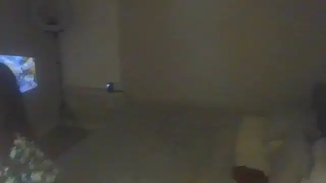 geld 88 online show from February 18, 11:55 am