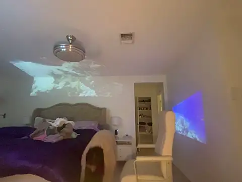 geld 88 online show from October 4, 8:23 am