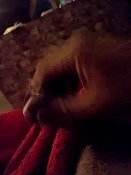 srecet online show from February 1, 9:43 am