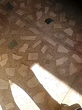 Raj41 online show from November 19, 4:34 am