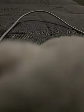 hengst2312 online show from January 20, 6:10 pm