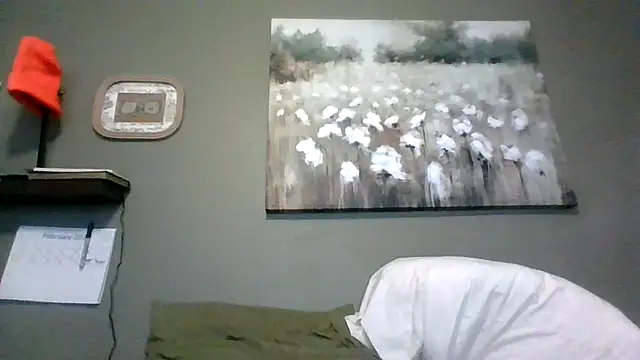 HarvryBlaze online show from February 16, 12:29 am