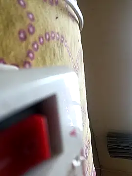 Royyy dandol online show from February 17, 6:32 am