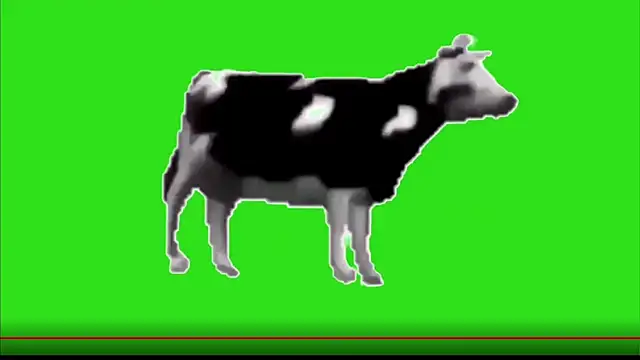 Snapshot of test_FramedTishri_m chatting on May 13, 3:20 pm test FramedTishri m online show from May 13, 3:20 pm