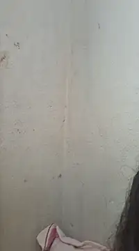 novinhatransexy online show from February 11, 6:01 pm