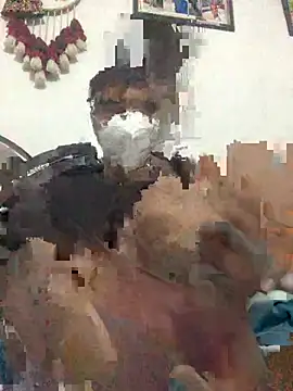 punjabi munda38 online show from January 24, 3:55 pm