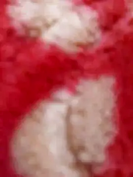 mhmia online show from February 8, 5:29 pm