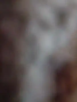 Snapshot of mhmia chatting on February 12, 3:51 pm mhmia online show from February 12, 3:51 pm