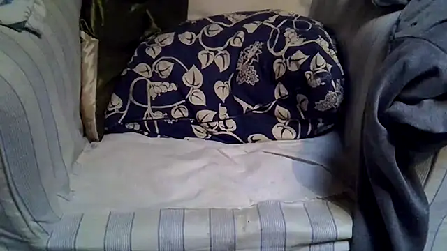 Damn bro23 online show from November 24, 8:14 am