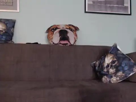 Astrid-Gilbert online show from February 5, 11:12 am