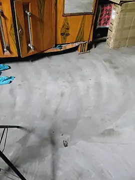 birds0641 online show from April 27, 6:17 pm