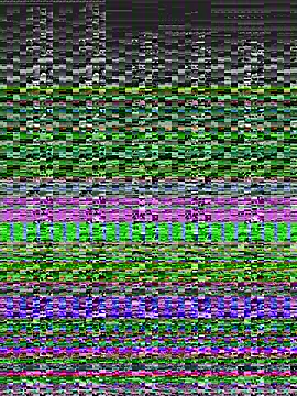 Yankees- online show from February 1, 3:19 am