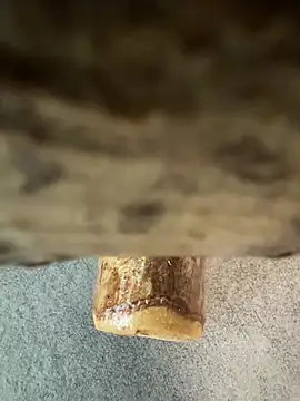 Snapshot of fuocovivo4 chatting on January 30, 11:11 am fuocovivo4 online show from January 30, 11:11 am