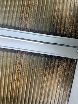 Nikki vega online show from January 10, 8:21 pm