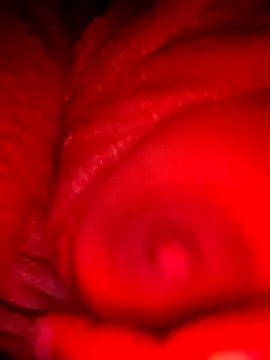 Snapshot of bestfriend-shikha chatting on February 5, 9:18 pm bestfriend-shikha online show from February 5, 9:18 pm