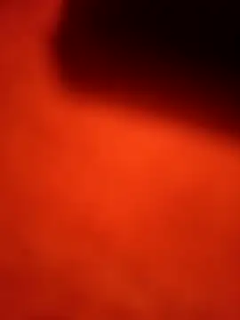 Snapshot of dominationmybigdick chatting on September 22, 11:45 am dominationmybigdick online show from September 22, 11:45 am