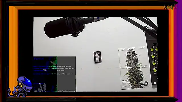 ReyDeBotones online show from March 13, 11:38 pm