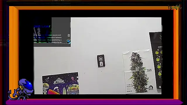 ReyDeBotones online show from March 14, 9:00 pm